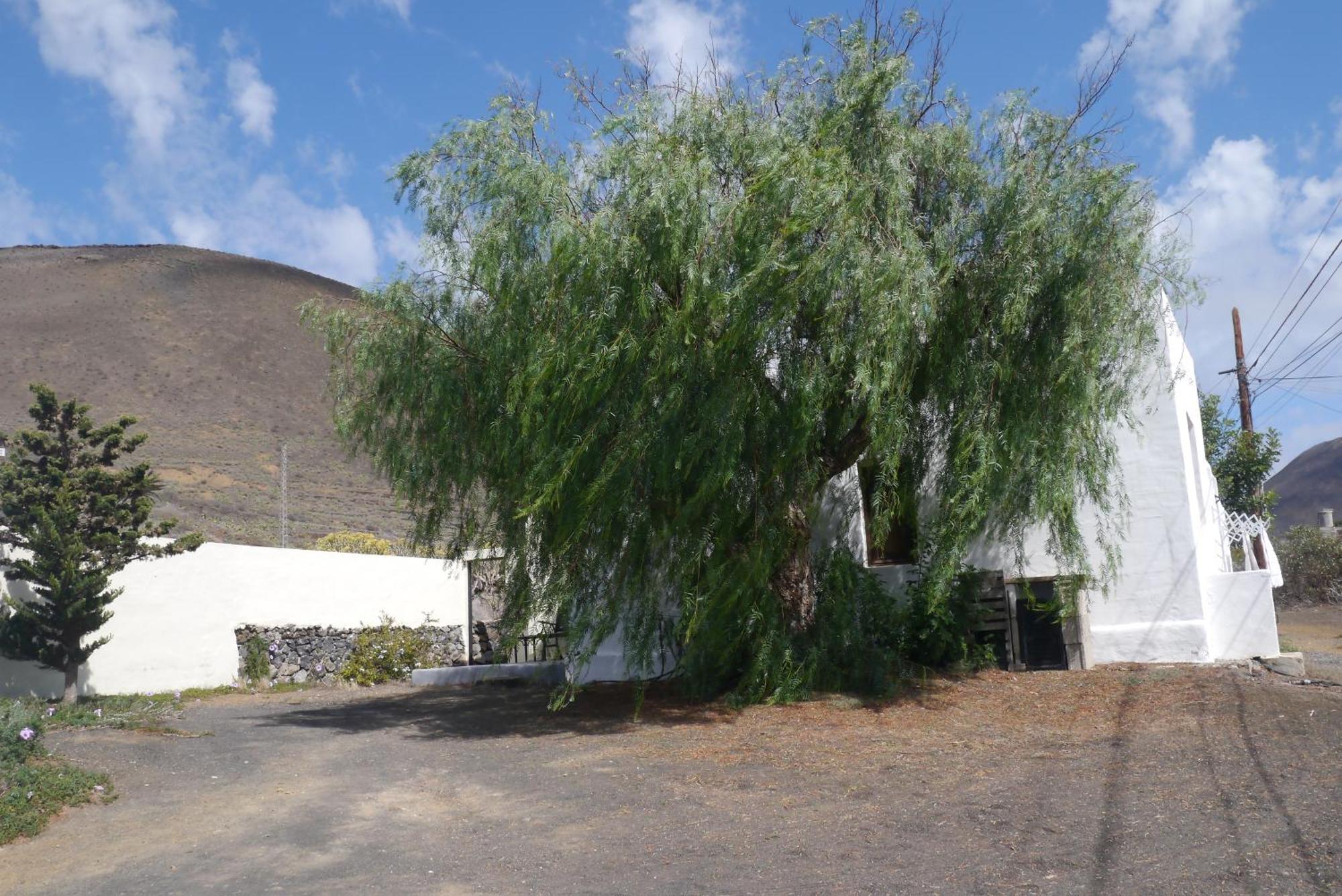 Casa Olga Villa Maguez ภายนอก รูปภาพ
